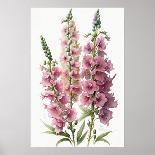 Poster d'impression d'Art rose Delphinium