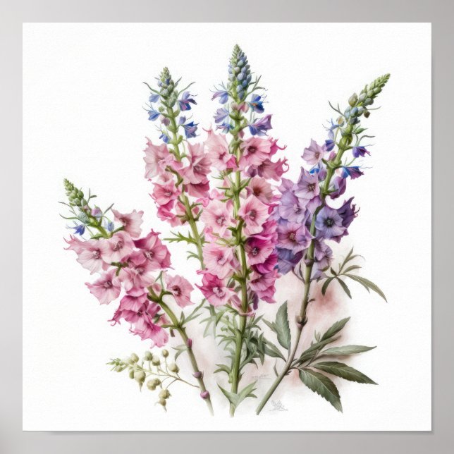 Poster d'impression d'Art rose Delphinium (Devant)