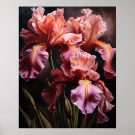Poster d'impression d'art rose Iris