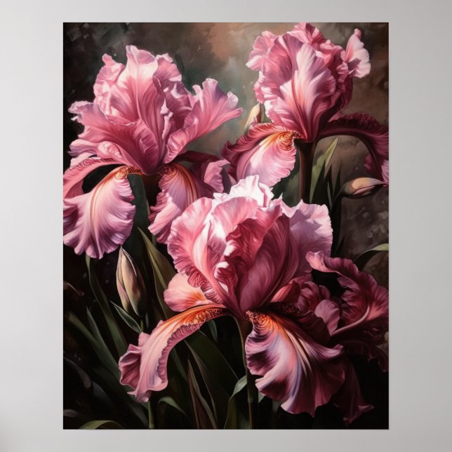 Poster d'impression d'art rose Iris (Devant)
