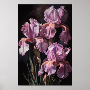 Poster d'impression d'art rose Irises