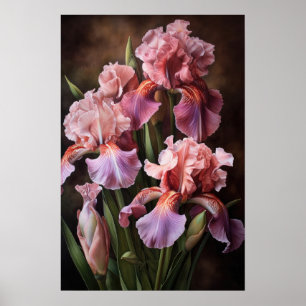 Poster d'impression d'art rose Irises