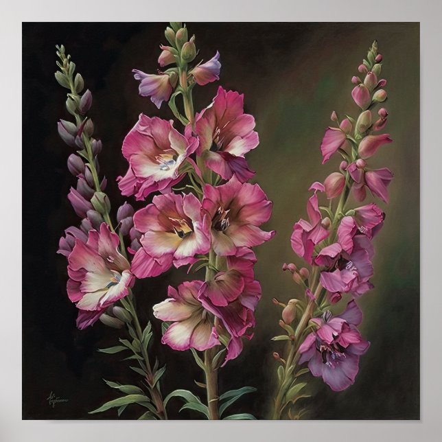 Poster d'impression d'art rose Larkspur (Devant)
