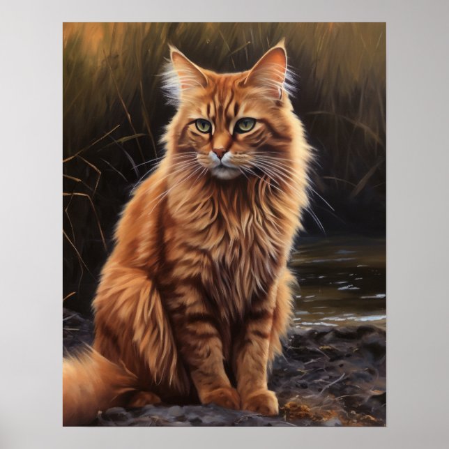 Poster d'impression de chats somaliens mous (Devant)