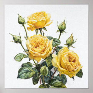 Poster d'impression de fleurs de rose jaune