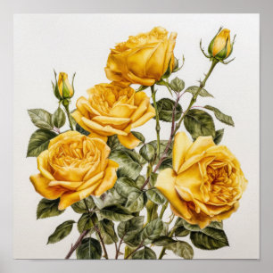 Poster d'impression de fleurs de rose jaune