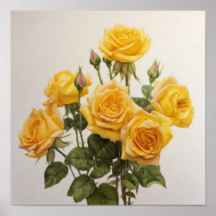 Poster d'impression de fleurs de rose jaune
