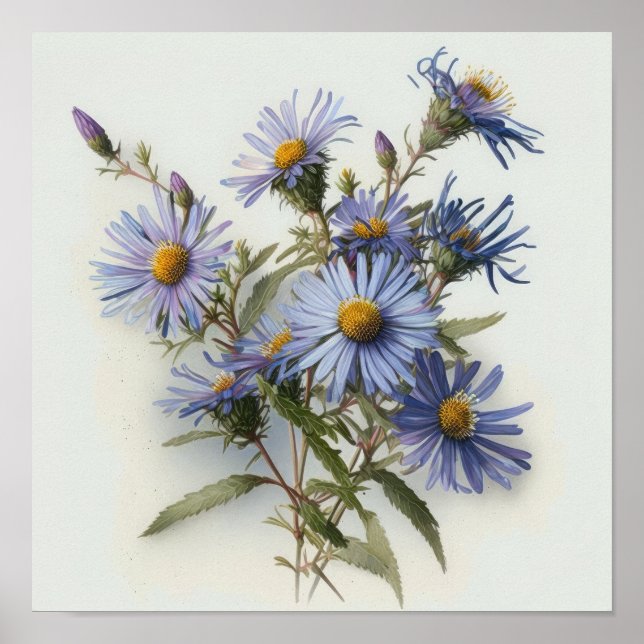 Poster d'impression de l'affiche d'Aster bleu (Devant)
