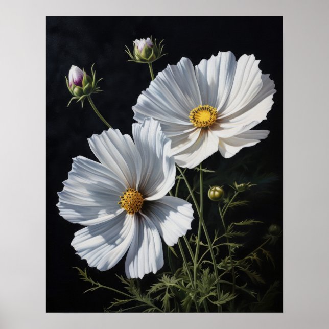 Poster d'impression de l'art Cosmos blanc (Devant)