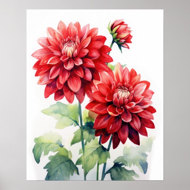 Poster d'impression de l'art Dahlia Rouge (Devant)