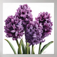 Poster d'impression de l'art de la floraison viole