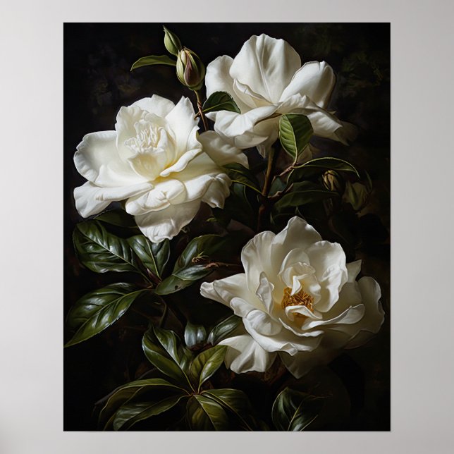 Poster d'impression de l'art de la Gardenia blanch (Devant)