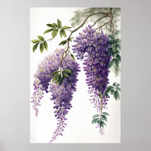 Poster d'impression de l'art de la glycine violett
