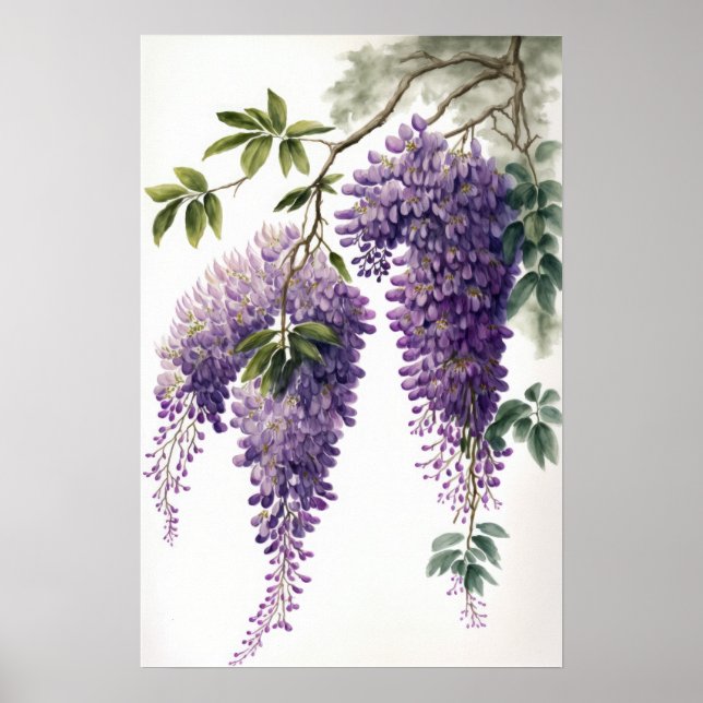 Poster d'impression de l'art de la glycine violett (Devant)