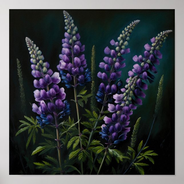 Poster d'impression de l'art de la lupine violette (Devant)