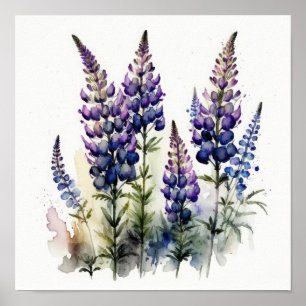 Poster d'impression de l'art de la lupine violette
