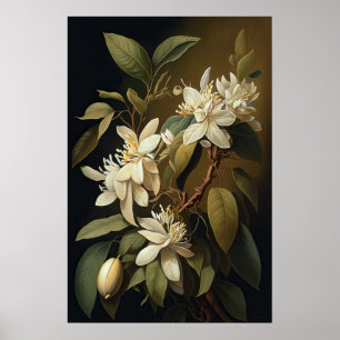 Poster d'impression de l'art de la vanille blanche