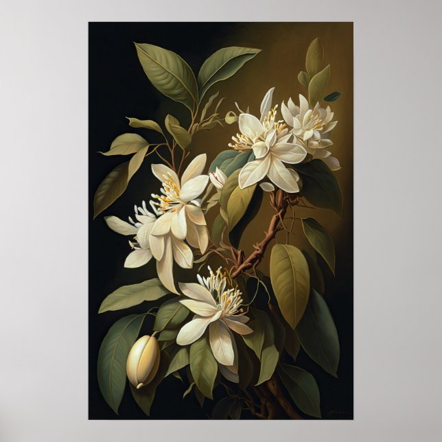 Poster d'impression de l'art de la vanille blanche (Devant)