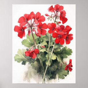Poster d'impression de l'art des fleurs de géraniu