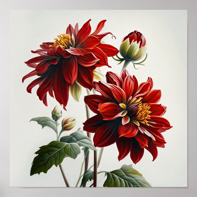 Poster d'impression de l'art des fleurs Red Dahlia (Devant)