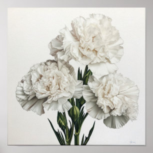 Poster d'impression de l'art des oeillets blancs