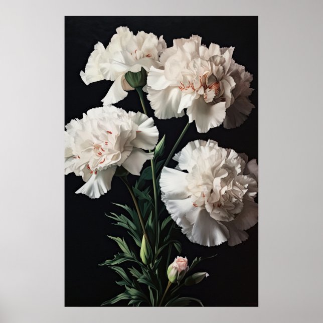 Poster d'impression de l'art des oeillets blancs (Devant)