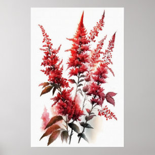 Poster d'impression de l'Art Fleur Rouge Astilbe