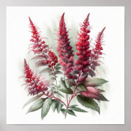Poster d'impression de l'Art Fleur Rouge Astilbe