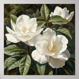 Poster d'impression de l'Art Fleuri Gardenias Blan