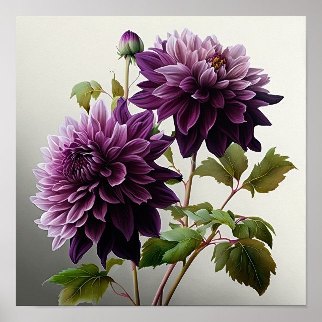 Poster d'impression de l'art floral Dahlias violet (Devant)