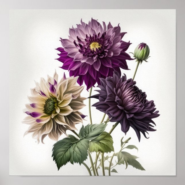 Poster d'impression de l'art floral Dahlias violet (Devant)