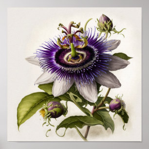 Poster d'impression de l'art floral de la passion 