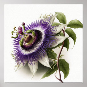 Poster d'impression de l'art floral de la passion