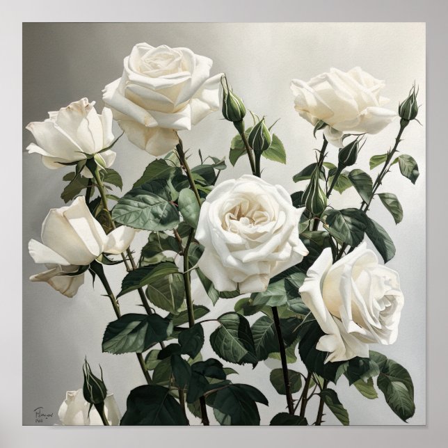 Poster d'impression de l'art floral des Roses blan (Devant)