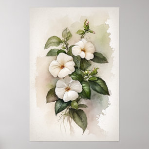 Poster d'impression de l'art floral Impatiens blan