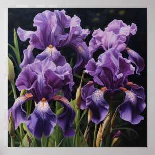Poster d'impression de l'art floral Irises violet