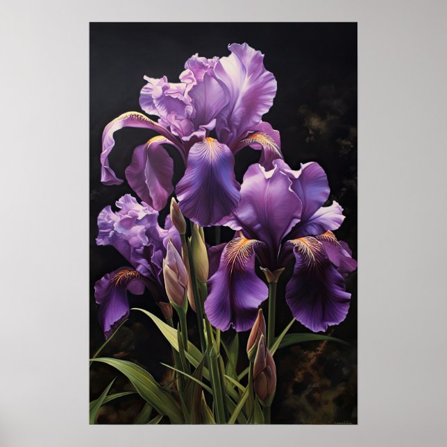 Poster d'impression de l'art floral Irises violet (Devant)