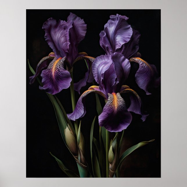 Poster d'impression de l'art Iris violet (Devant)