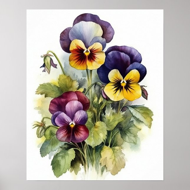 Poster d'impression de l'art Pansy Flowers (Devant)