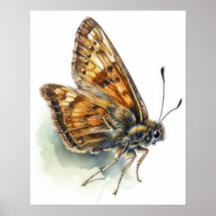 Poster d'impression de l'art papillon de skipper