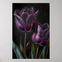 Poster d'impression de papier Tulipes violettes