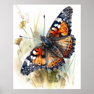 Poster d'impression de papillon Phaon Crescent Art