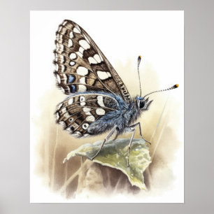 Poster d'impression de papillons À damiers communs