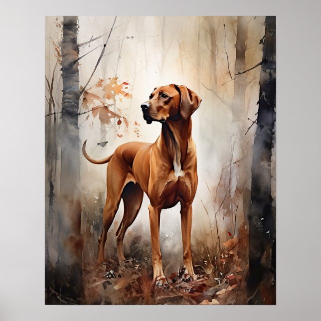 Poster d'impression de Redbone Coonhound Dog Art (Devant)
