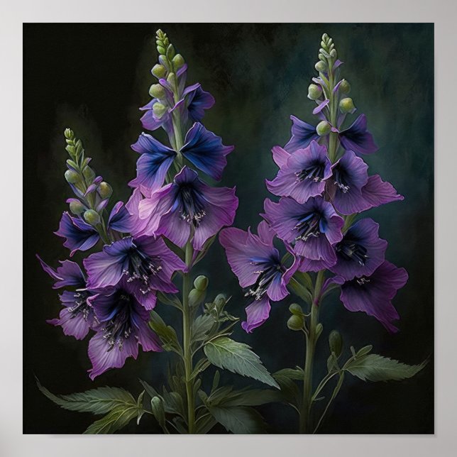 Poster d'impression de violet Delphinium (Devant)