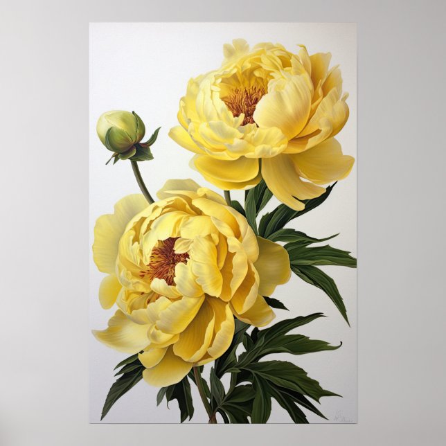 Poster d'impression des peonies jaunes (Devant)