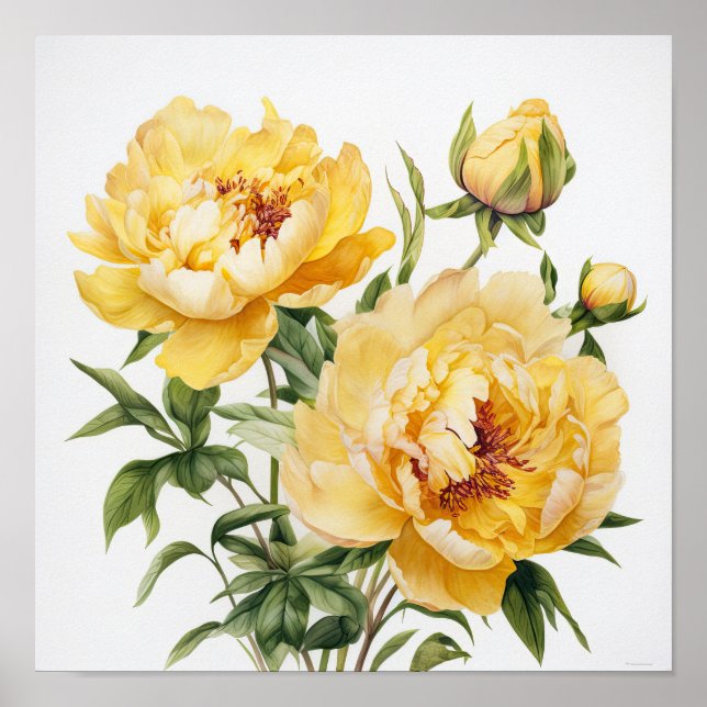 Poster d'impression des peonies jaunes (Devant)