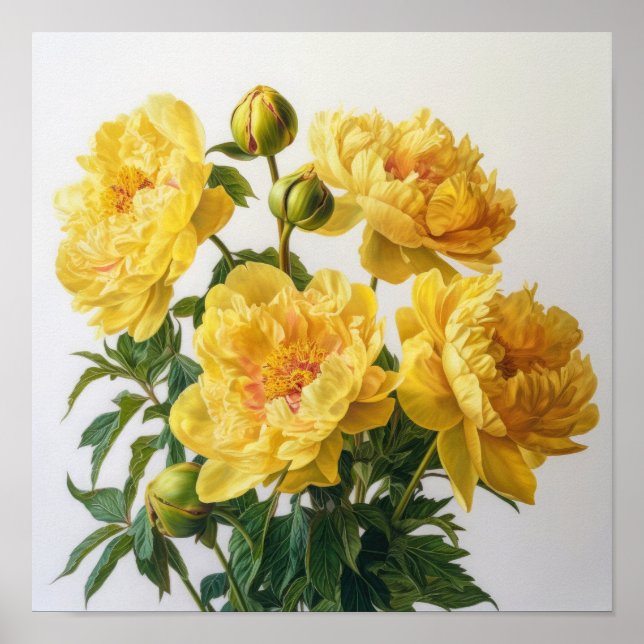 Poster d'impression des peonies jaunes (Devant)