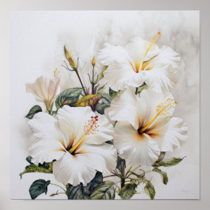 Poster d'impression d'Hibiscus blanc
