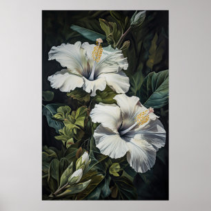 Poster d'impression d'Hibiscus blanc